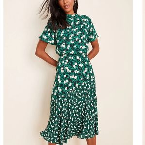 Beautiful floral dress. New. Size 10